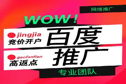 某电商平台的SEM代运营策略解析